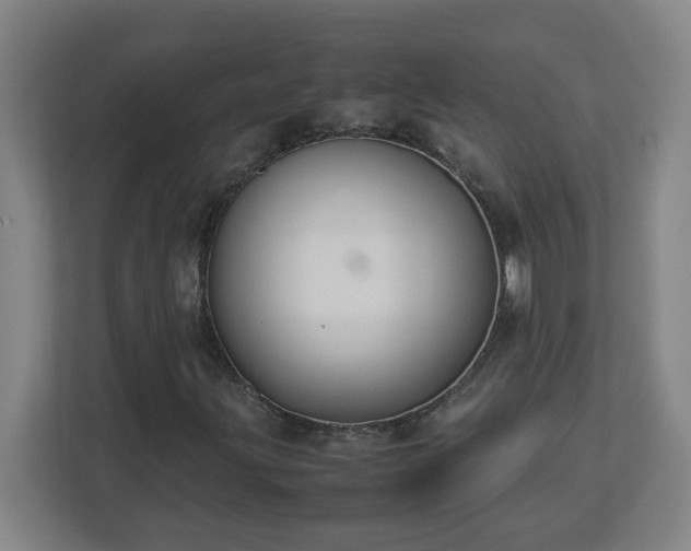 X0000113111203200909041239