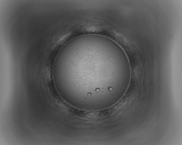 X0000113111205200909041239