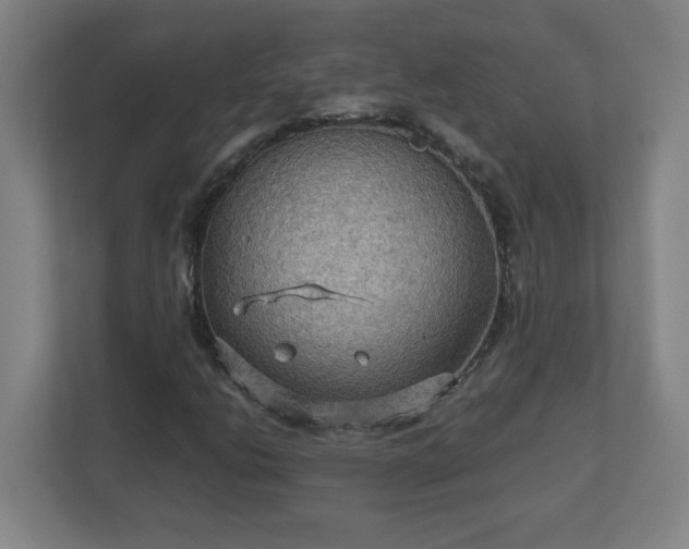 X0000113111206200909041239