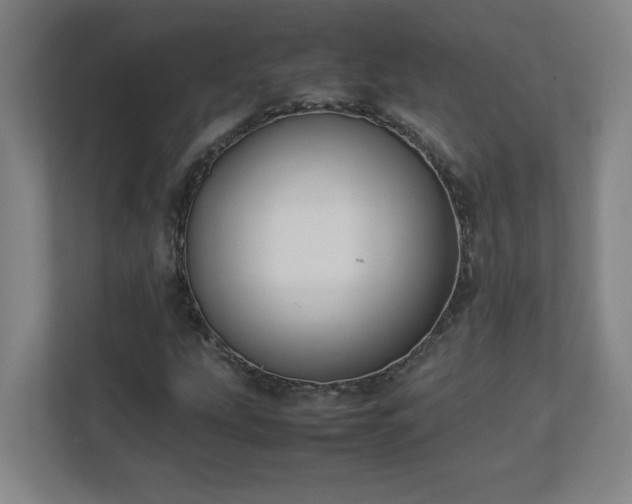 X0000113111207200909041239