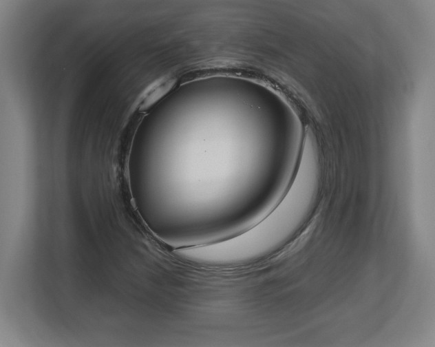 X0000113111210200909041239