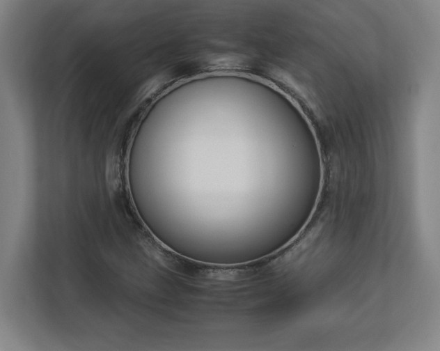 X0000113111211200909041239