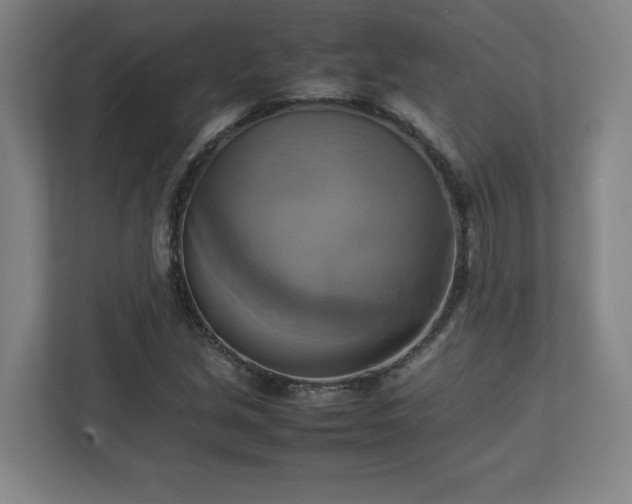 X0000113111213200909041239