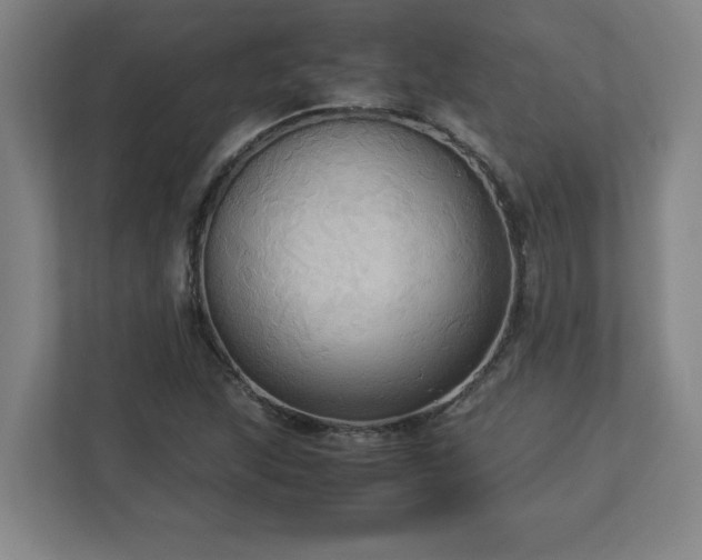 X0000113111215200909041239