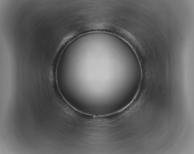 X0000113111218200909041239