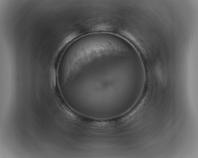 X0000113111219200909041239