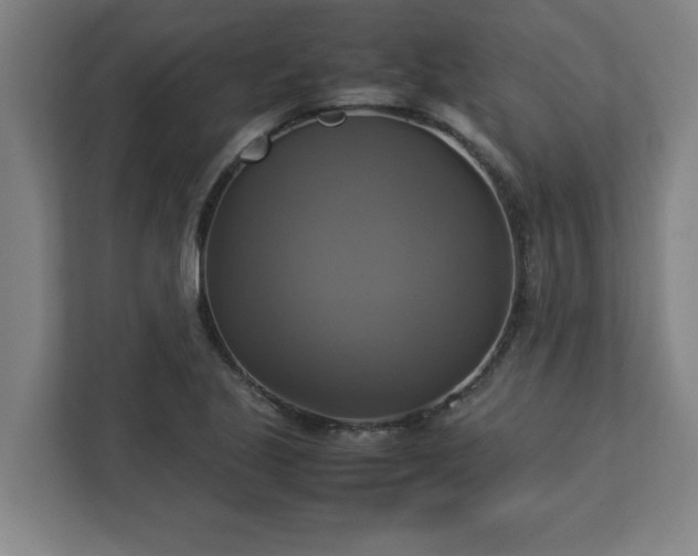 X0000113111221200909041239