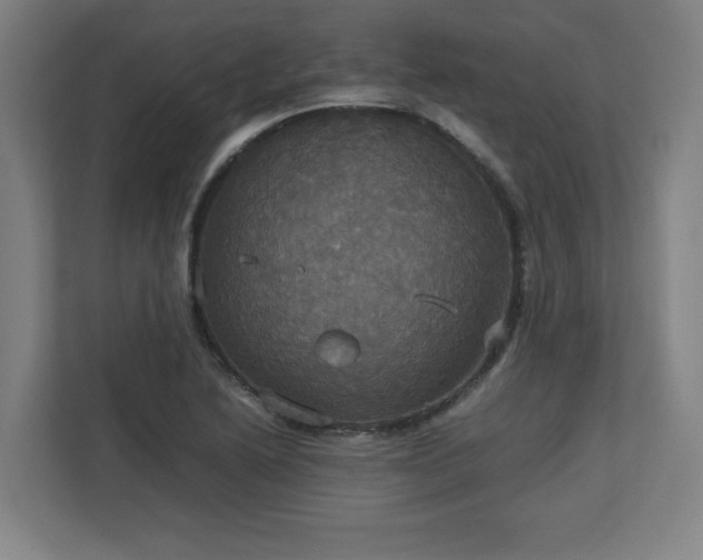 X0000113111222200909041239