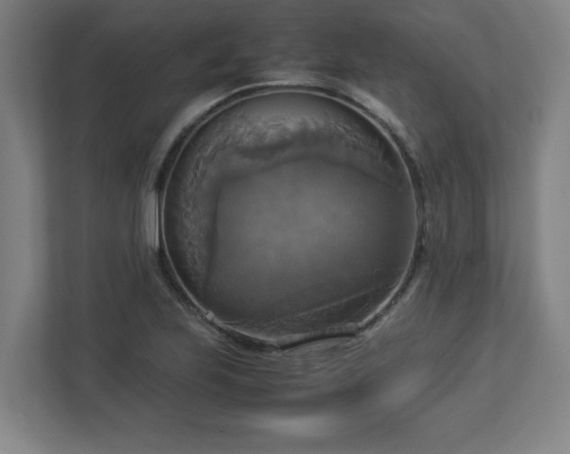 X0000113111223200909041239