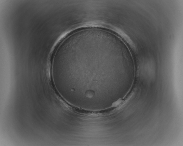 X0000113111224200909041239