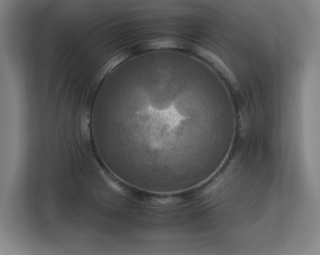X0000113111225200909041239