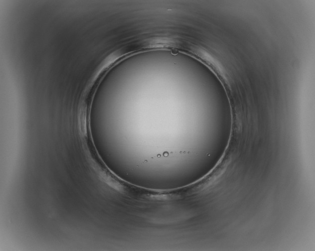 X0000113111227200909041239