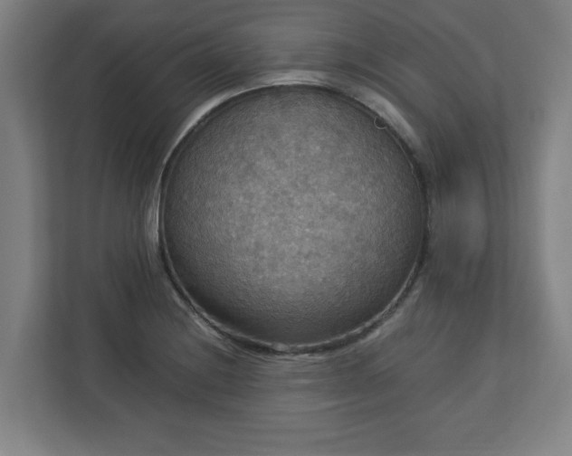 X0000113111228200909041239