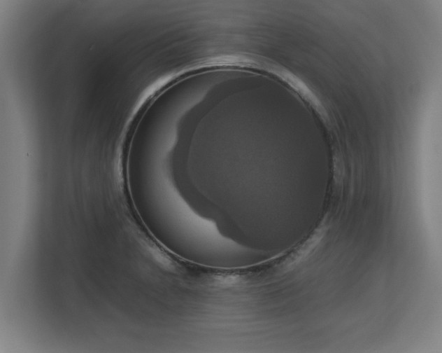 X0000113111230200909041239
