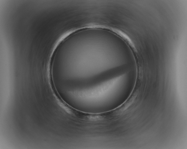 X0000113111231200909041239