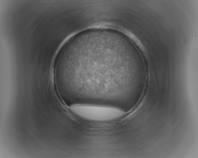 X0000113111232200909041239