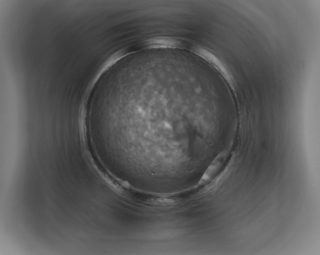 X0000113111235200909041239
