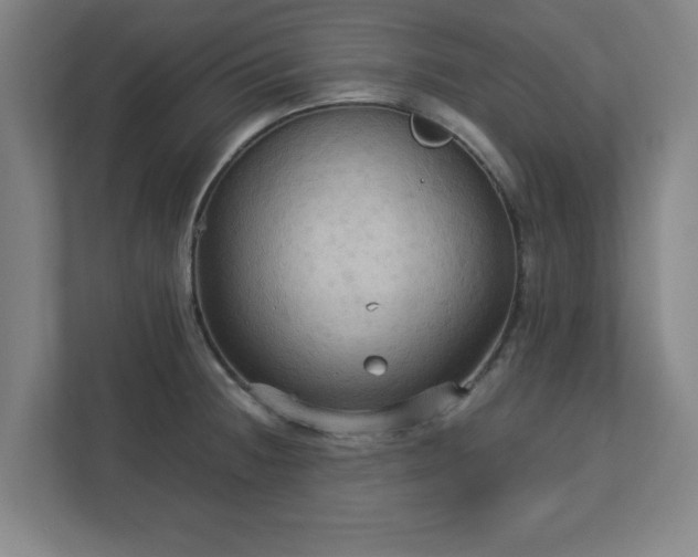 X0000113111236200909041239