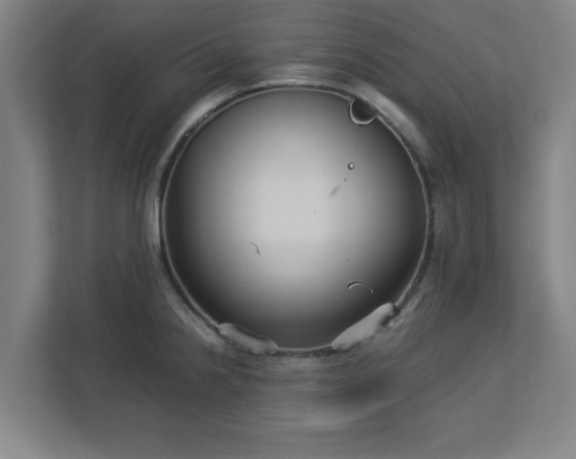 X0000113111238200909041239