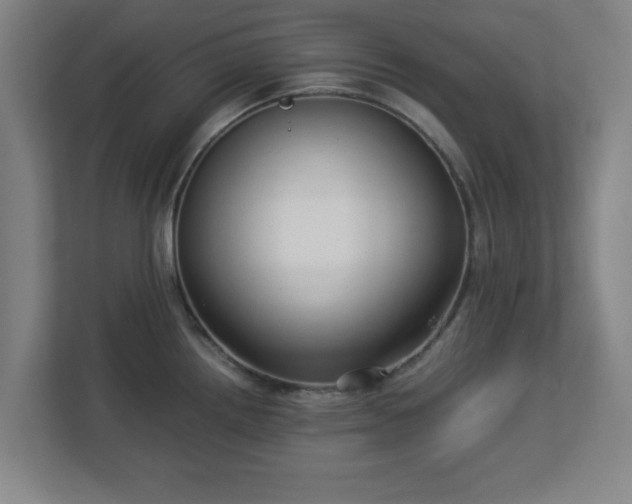 X0000113111242200909041239