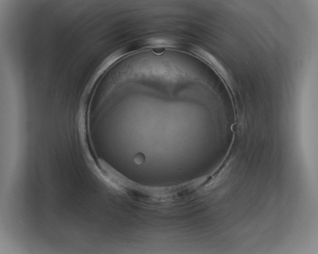 X0000113111243200909041240