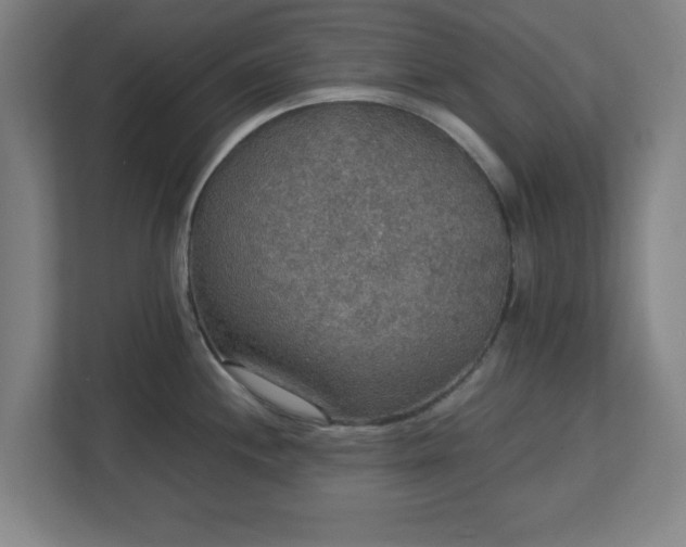 X0000113111244200909041240