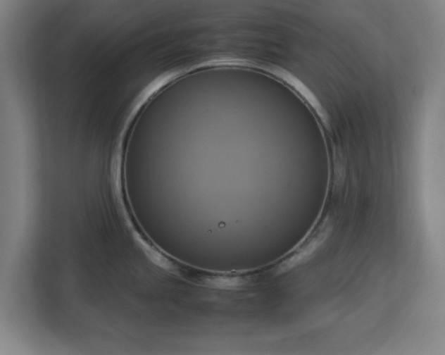 X0000113111245200909041240