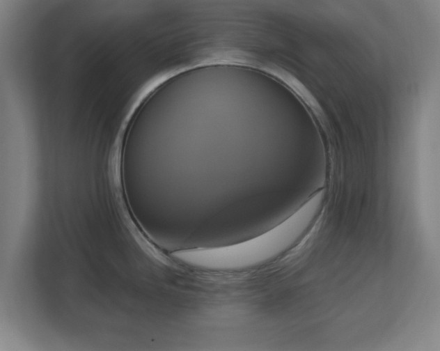 X0000113111246200909041240