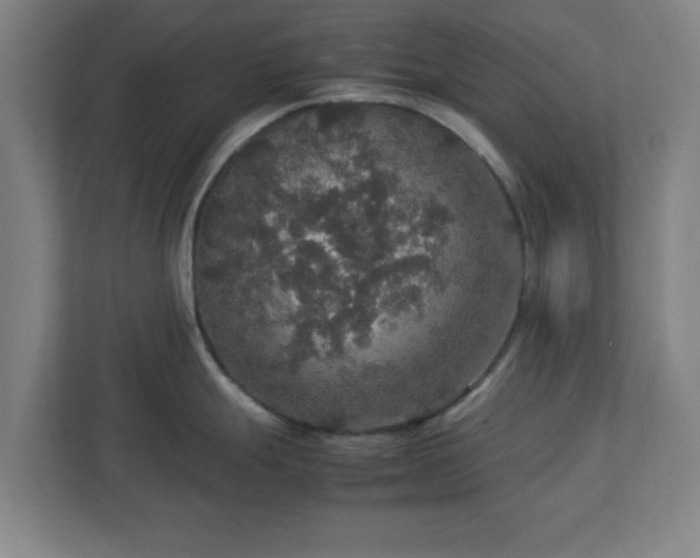 X0000113111247200909041240