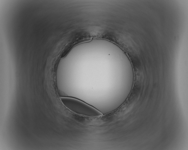 X0000113111249200909041239