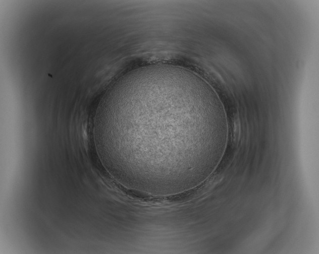X0000113111250200909041239