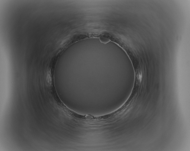 X0000113111252200909041239