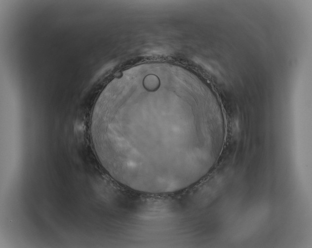 X0000113111254200909041239