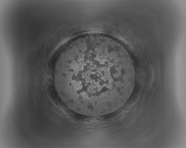 X0000113111255200909041239