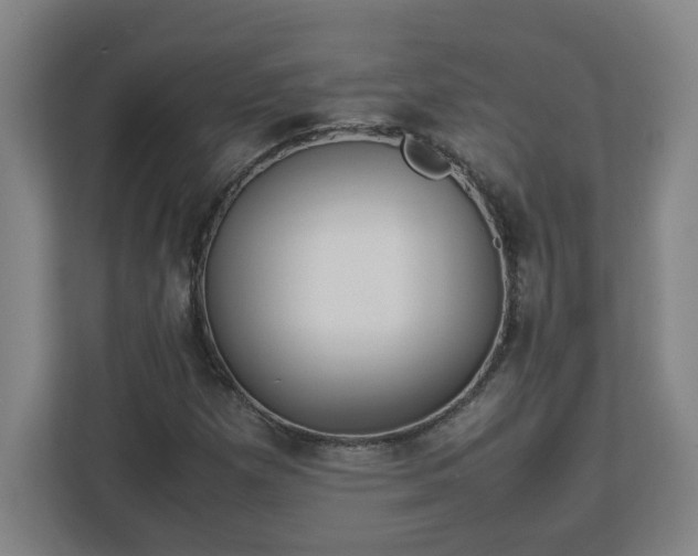 X0000113111257200909041239