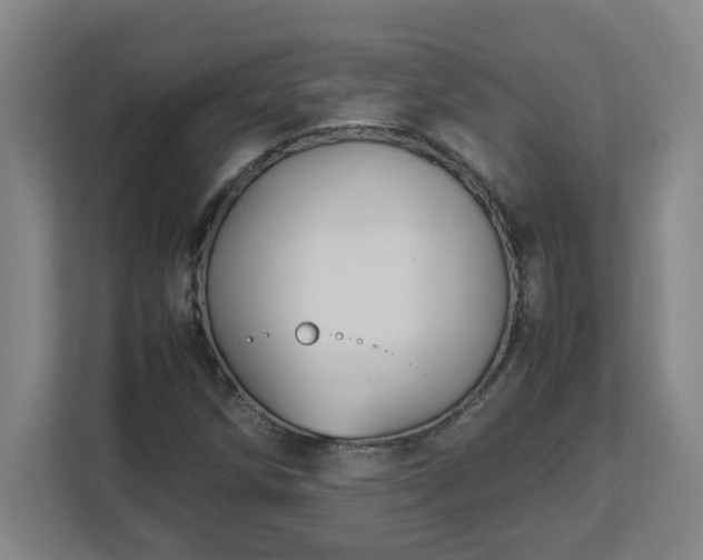 X0000113111258200909041239