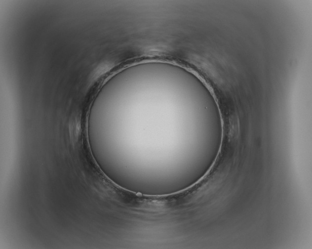 X0000113111261200909041239