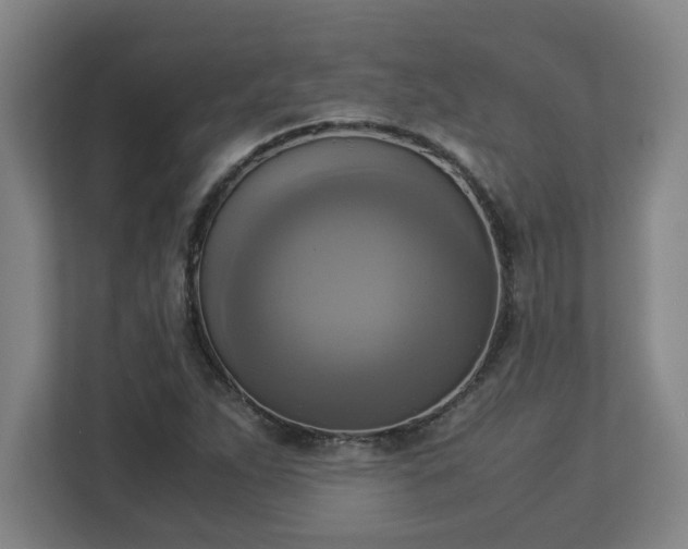 X0000113111263200909041239