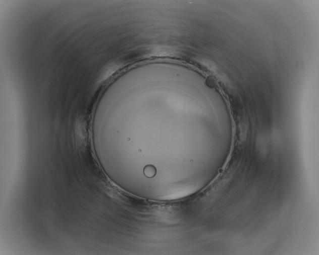 X0000113111266200909041239