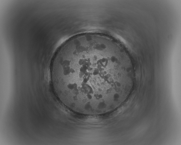 X0000113111267200909041239