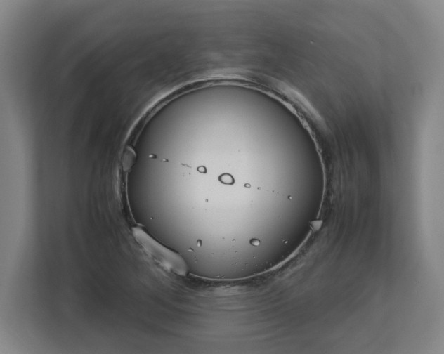 X0000113111268200909041239