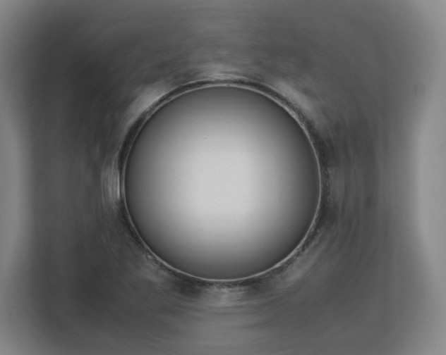 X0000113111269200909041239
