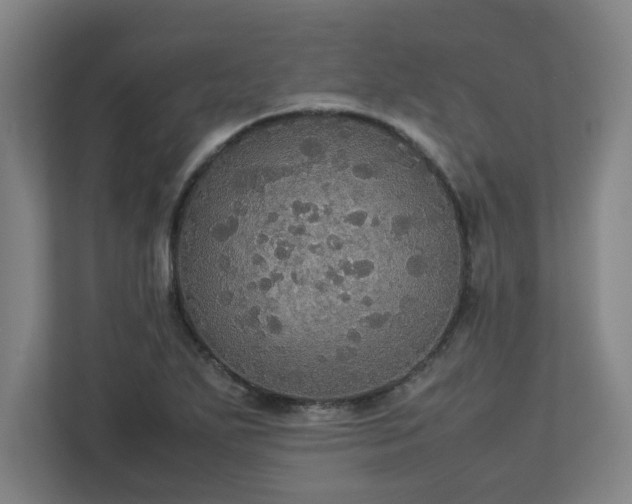 X0000113111271200909041239