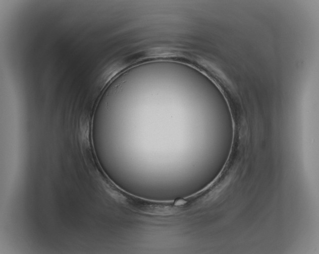 X0000113111273200909041239