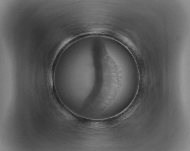 X0000113111275200909041239
