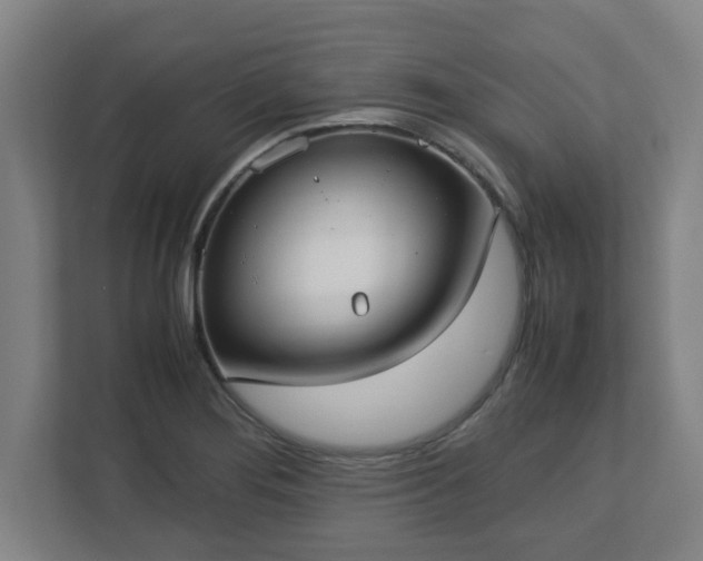 X0000113111276200909041239