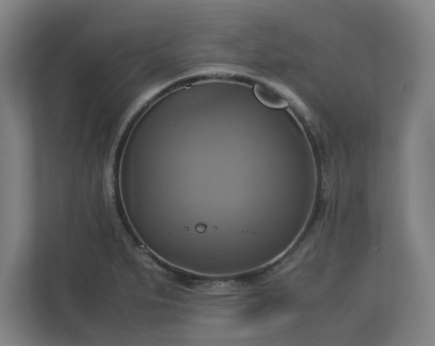 X0000113111279200909041239