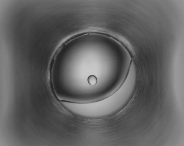 X0000113111280200909041239