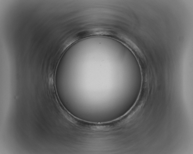 X0000113111281200909041239