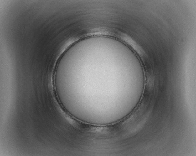 X0000113111282200909041239